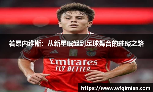 若昂内维斯：从新星崛起到足球舞台的璀璨之路