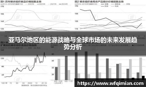 亚马尔地区的能源战略与全球市场的未来发展趋势分析