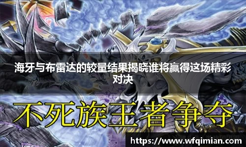 xk星空